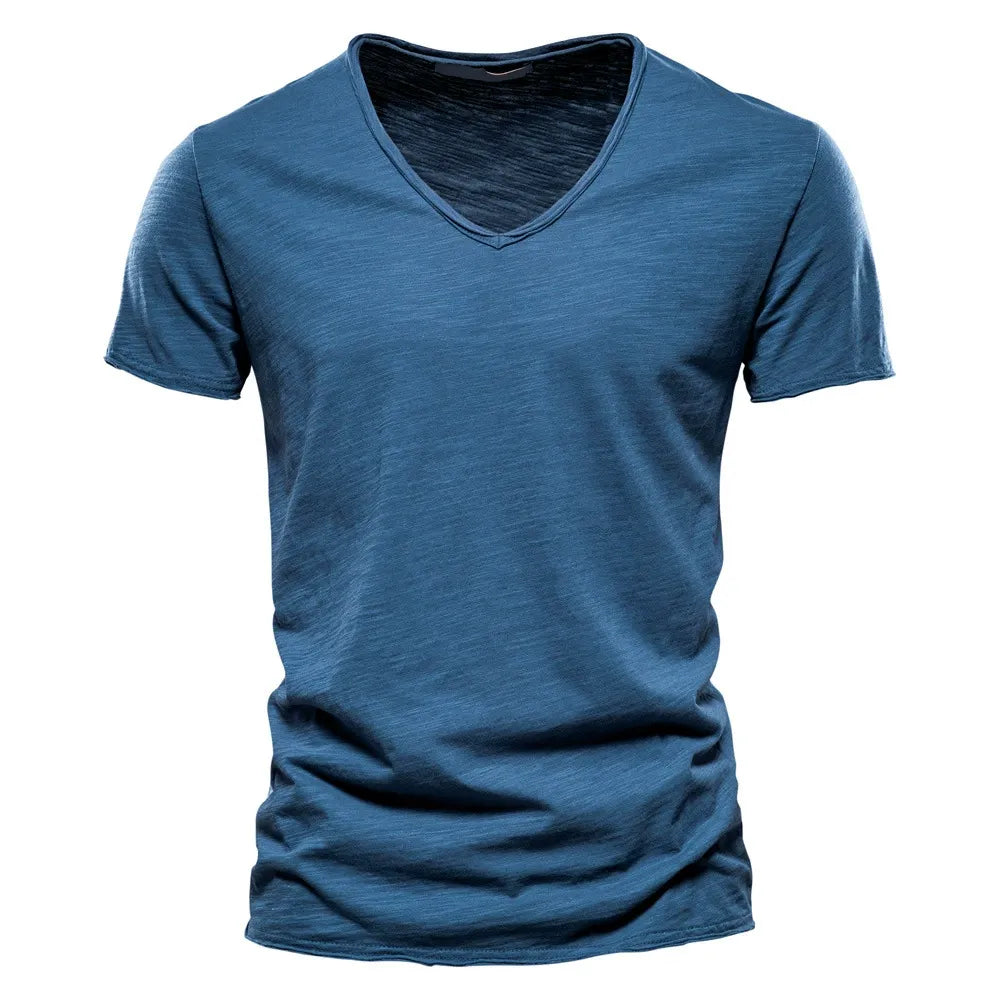 Men's Classic V-Neck T-Shirt